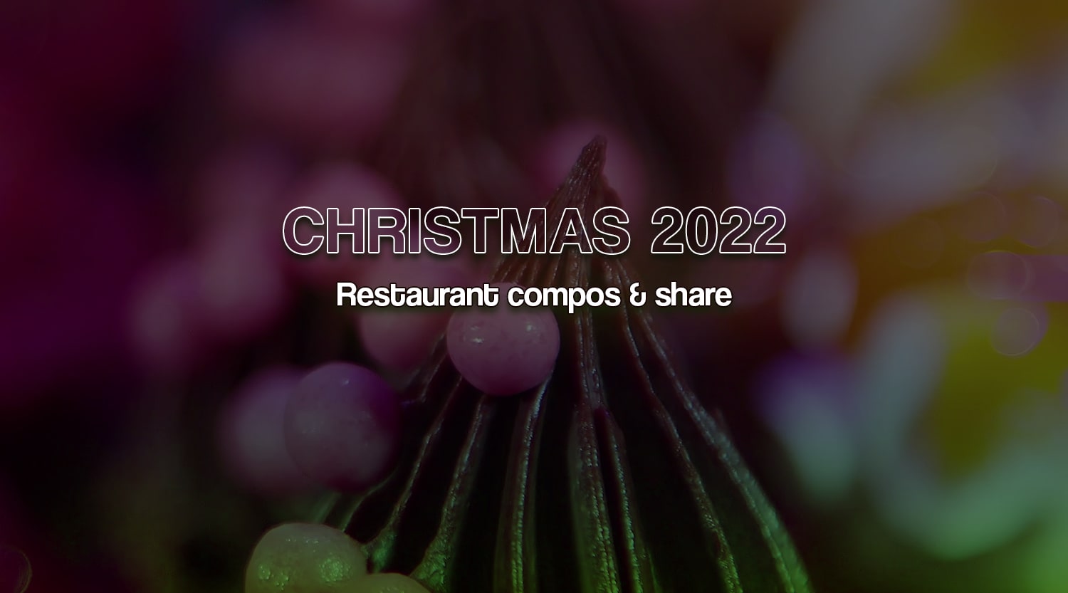 Christmas 2022